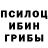 Псилоцибиновые грибы мухоморы The D'Arc