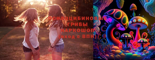 твердый Алзамай