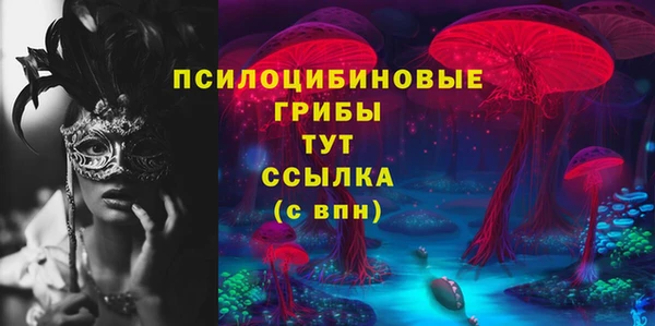 твердый Алзамай