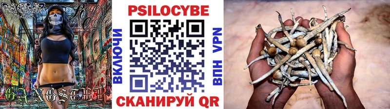 Галлюциногенные грибы Magic Shrooms как найти blacksprut как зайти Аргун