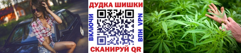 Каннабис планчик цена Аргун